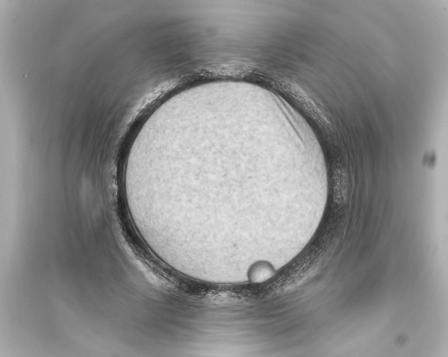 X0000093590634200711121125