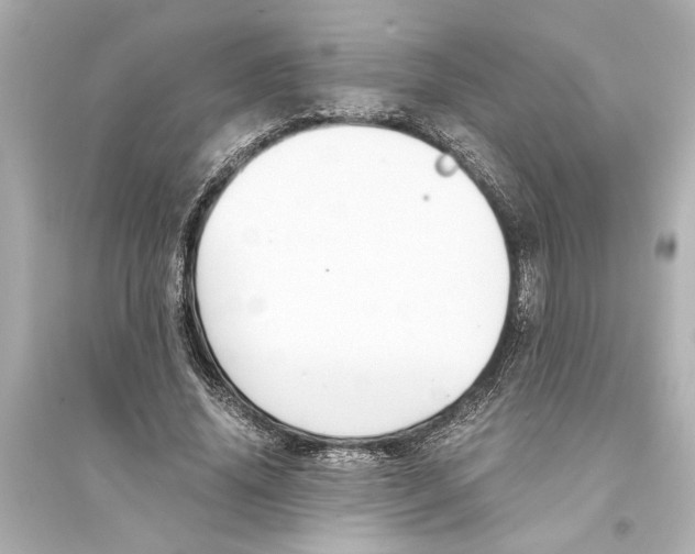X0000093590636200711121125