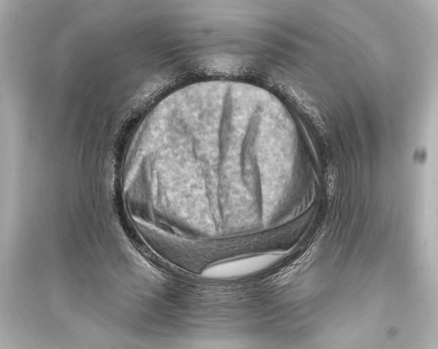 X0000093590637200711121125