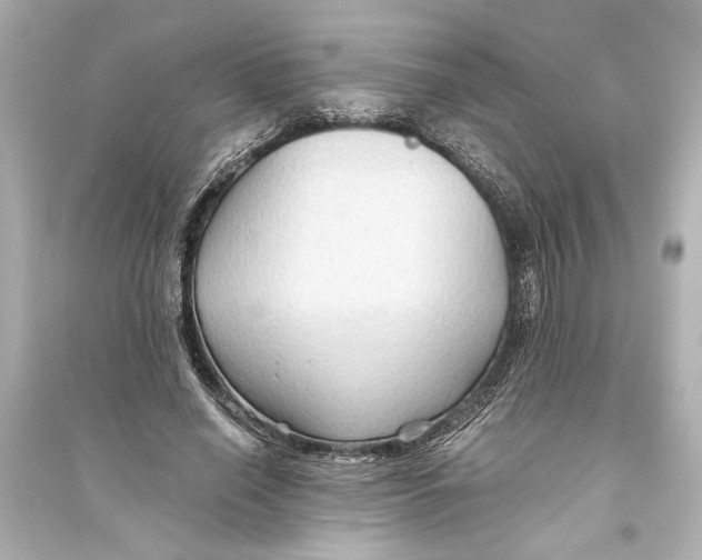 X0000093590638200711121125