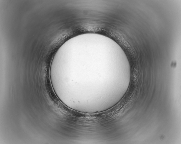 X0000093590639200711121125