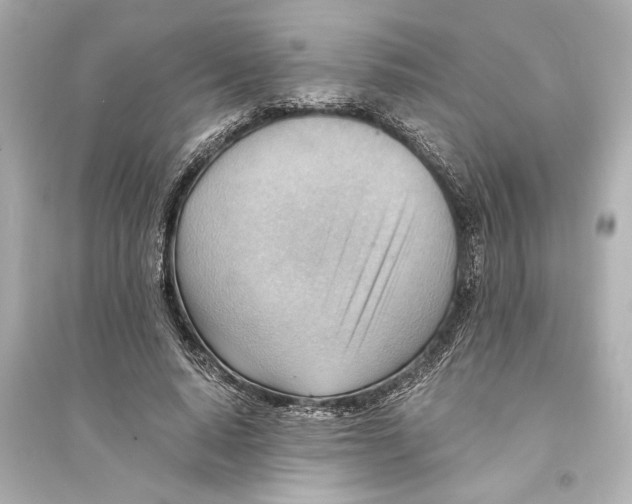 X0000093590640200711121125