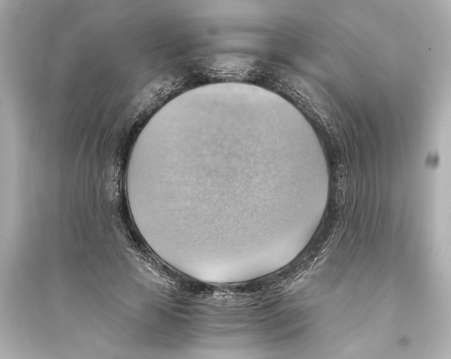 X0000093590641200711121125