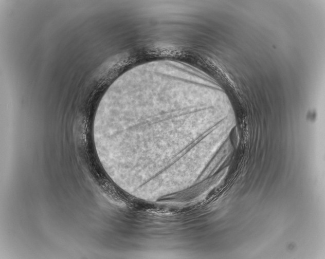 X0000093590643200711121125