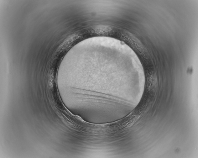 X0000093590644200711121125