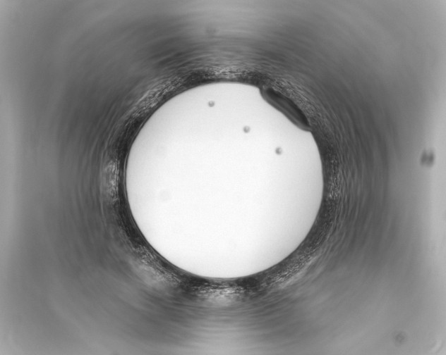 X0000093590646200711121125