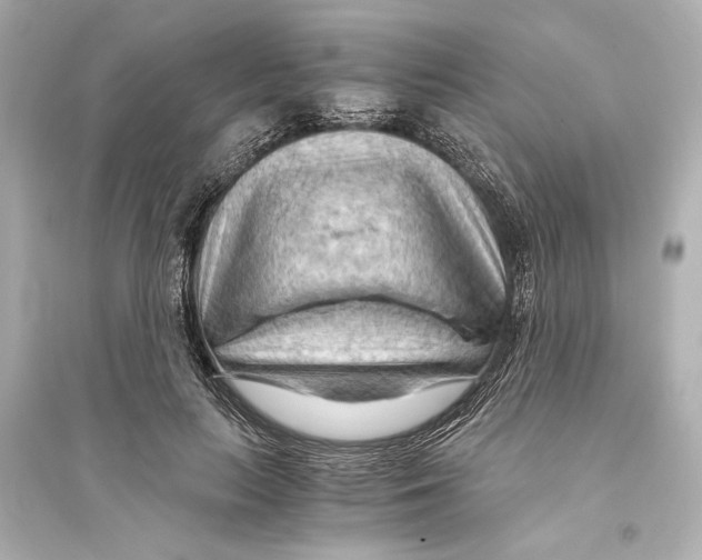 X0000093590647200711121125