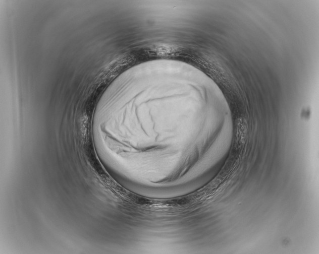 X0000093590650200711121125