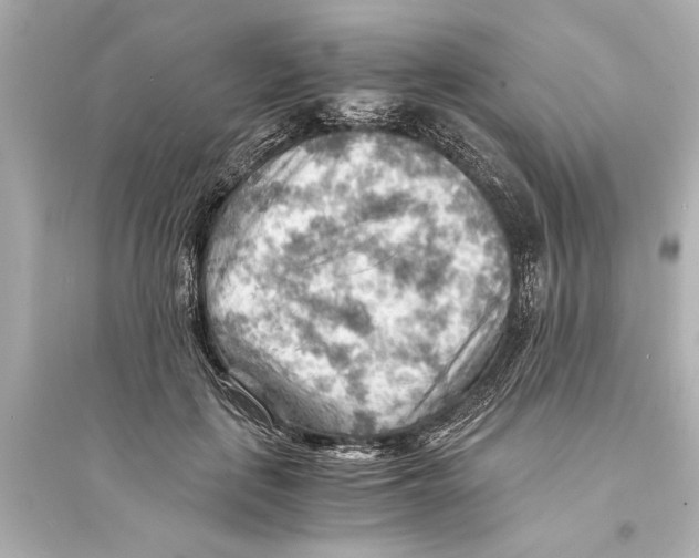 X0000093590651200711121125