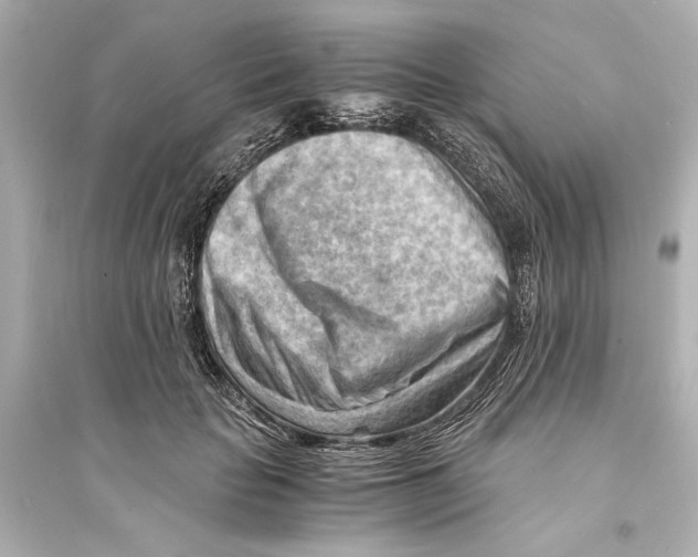 X0000093590653200711121125