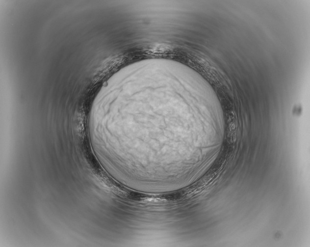 X0000093590654200711121126
