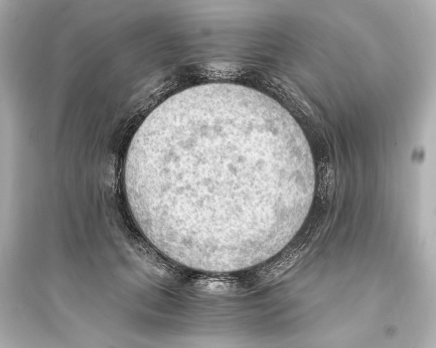 X0000093590655200711121126