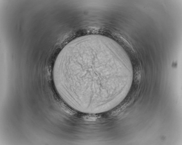 X0000093590661200711121126