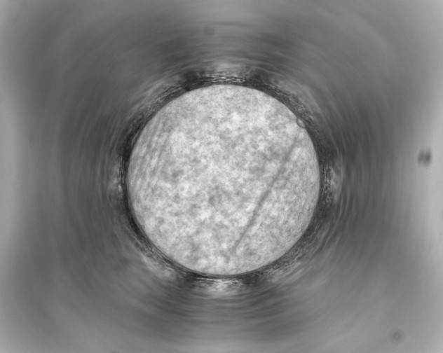 X0000093590663200711121126