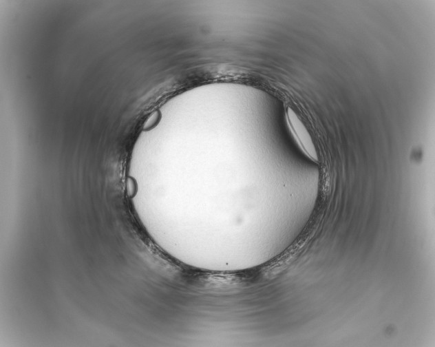 X0000093590666200711121126