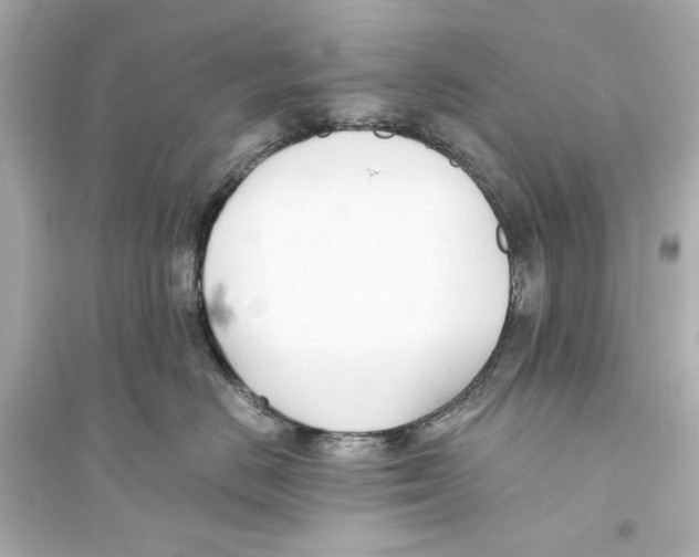 X0000093590670200711121126