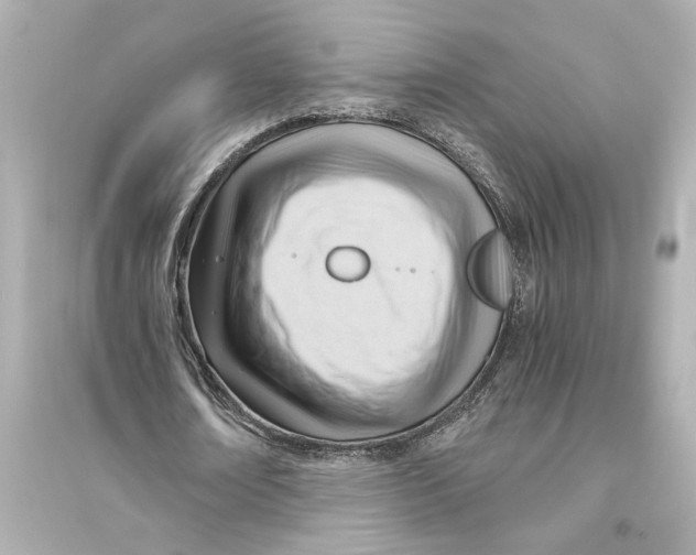 X0000093590674200711121125