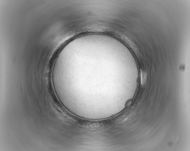X0000093590675200711121125