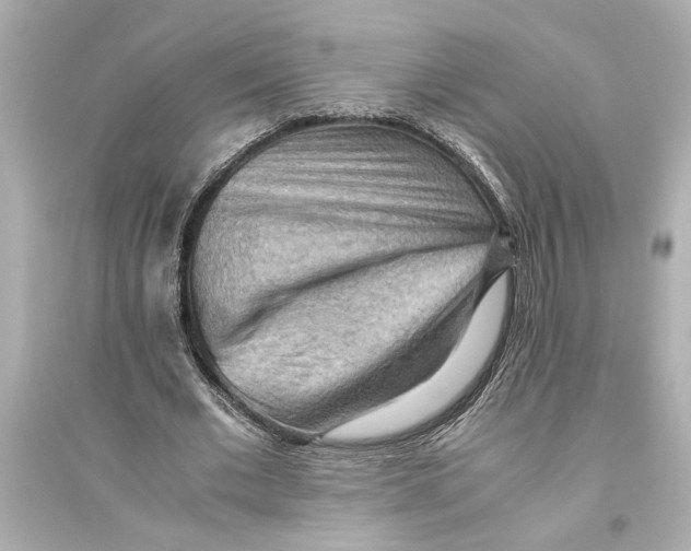 X0000093590677200711121125