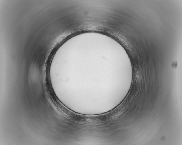 X0000093590678200711121125