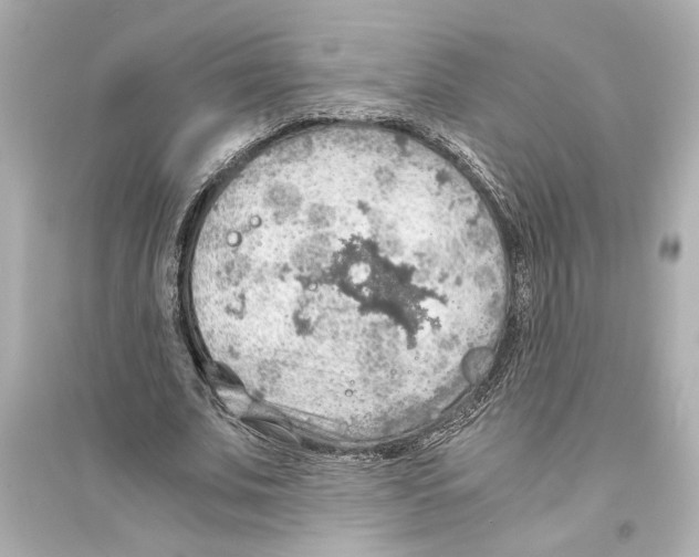 X0000093590679200711121125