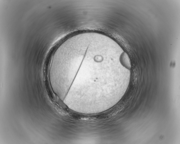 X0000093590680200711121125