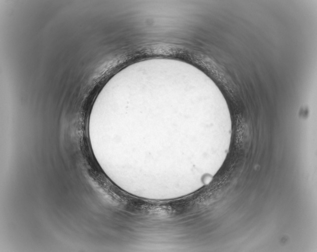 X0000093590683200711121125