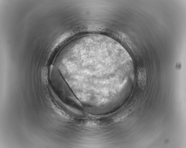 X0000093590684200711121125