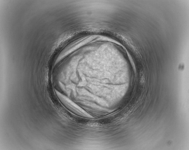 X0000093590685200711121125