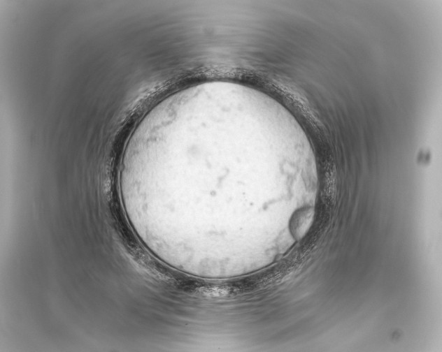 X0000093590687200711121125