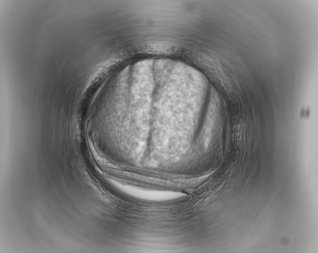 X0000093590688200711121125