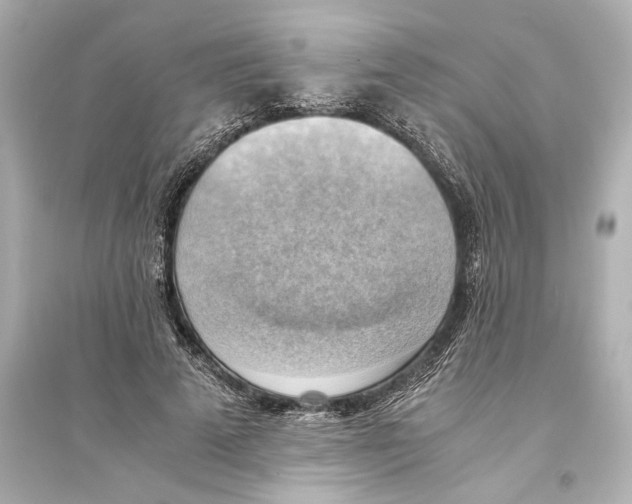 X0000093590689200711121125