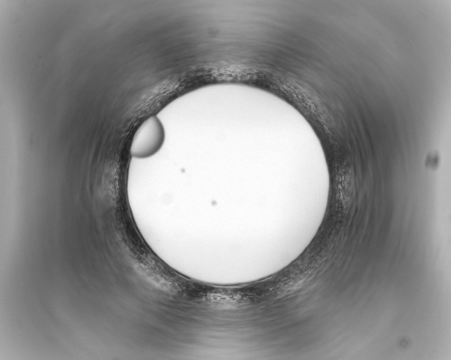 X0000093590690200711121125