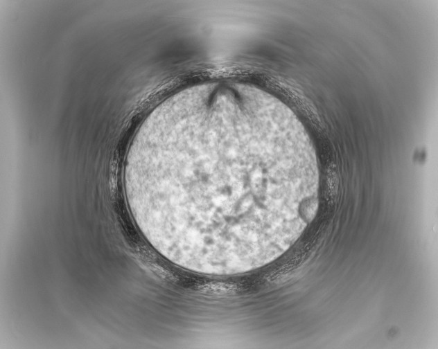 X0000093590691200711121125