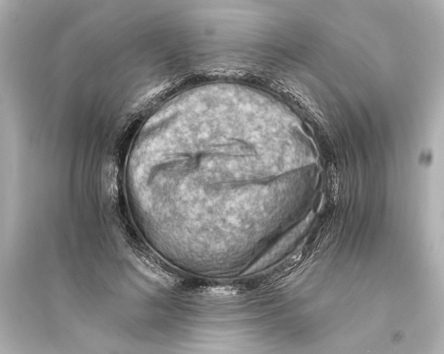 X0000093590692200711121125