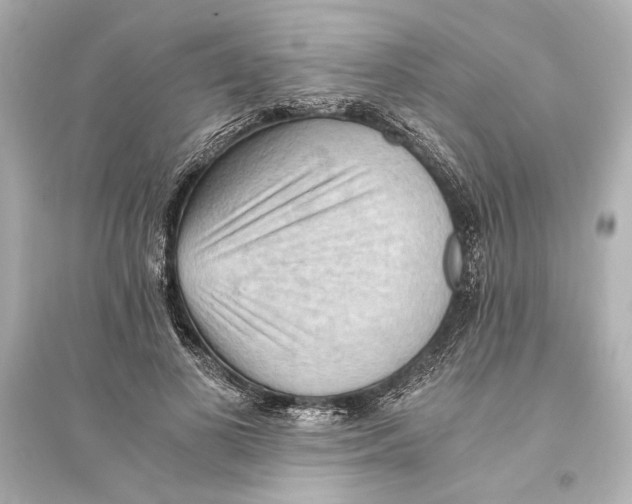 X0000093590693200711121125