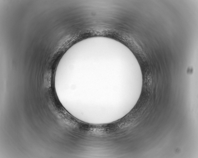 X0000093590694200711121125