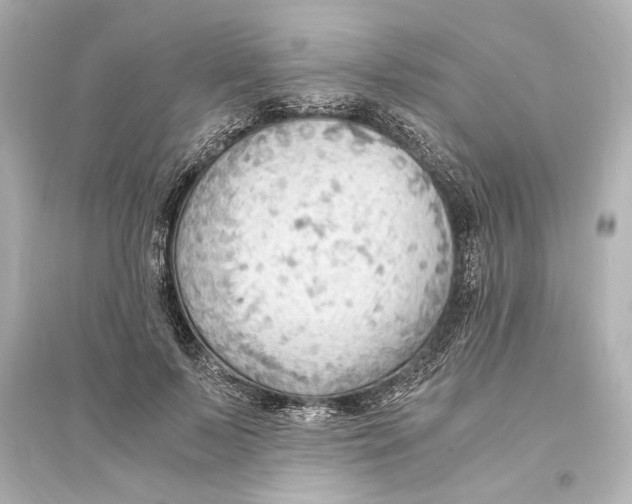 X0000093590695200711121125