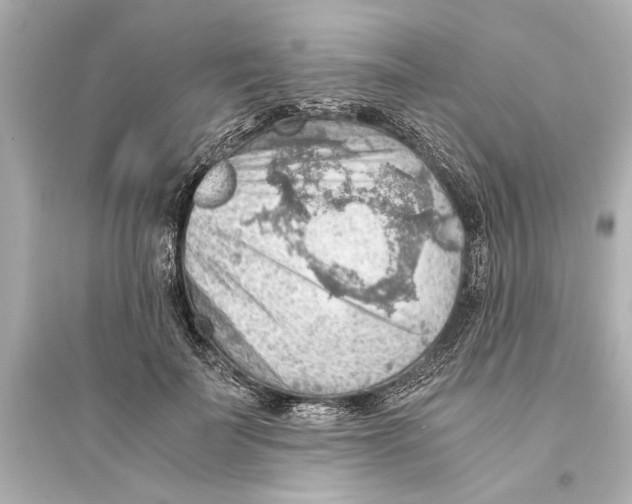 X0000093590699200711121125