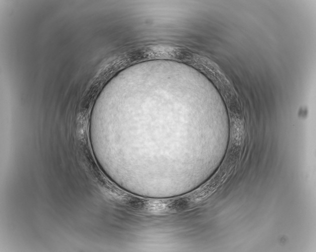 X0000093590701200711121125