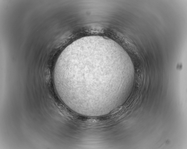 X0000093590704200711121125