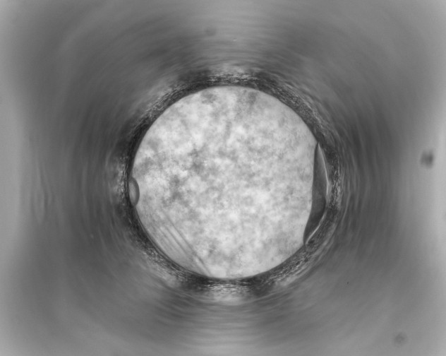 X0000093590708200711121125