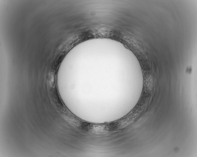 X0000093590709200711121125
