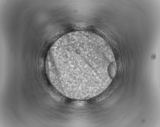 X0000093590711200711121125