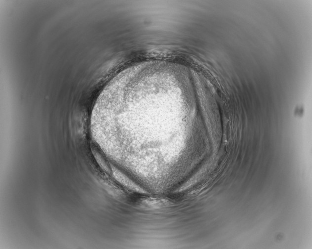 X0000093590712200711121125