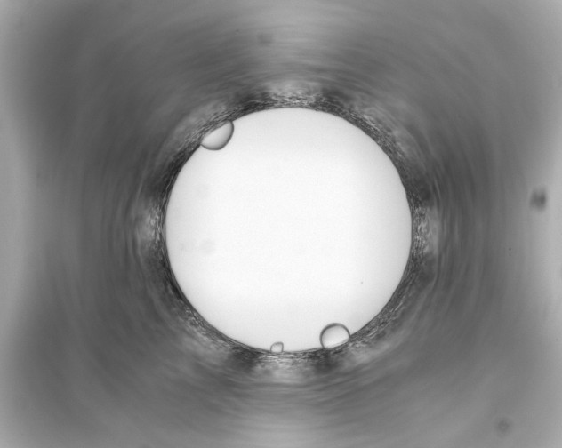 X0000093590713200711121125