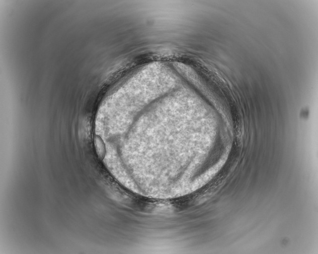X0000093590715200711121125