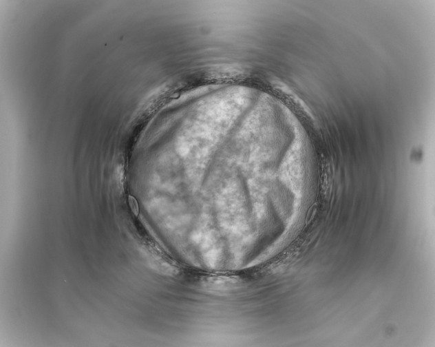 X0000093590716200711121124
