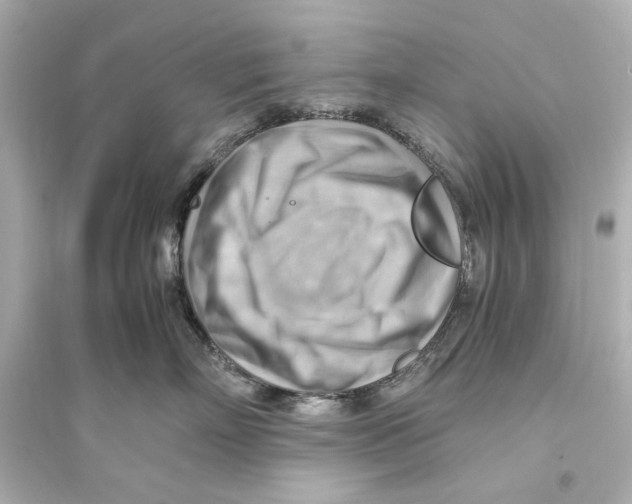 X0000093590718200711121124