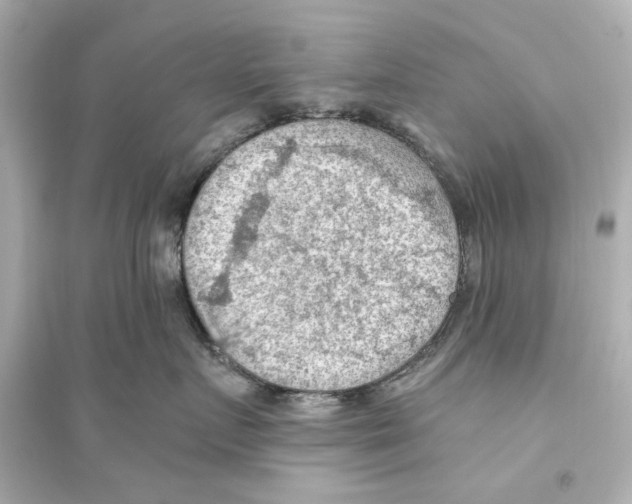 X0000093590719200711121124